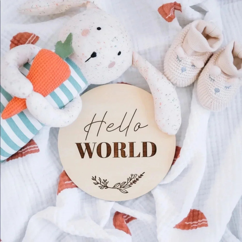 Hello World Baby Birth Announcement Sign